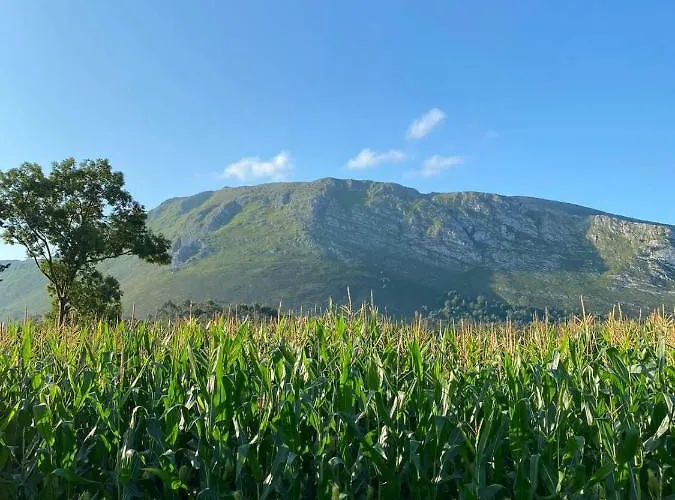 La Casa De Xuncu, Llanes, Vacation Holiday home *